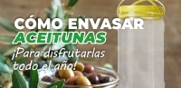 Cómo envasar aceitunas para disfrutar todo el año