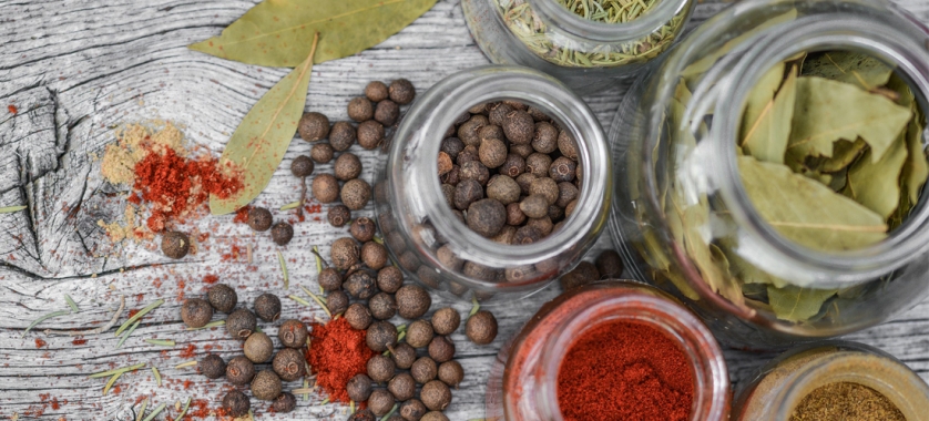 ¿Cuáles son los mejores métodos de conservación de los alimentos?