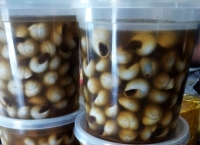 Receta para Caracoles. Cómo prepararlos, fácil y rico, rico!